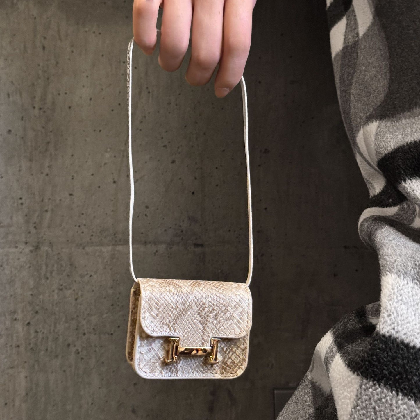 Luxury Snake Print AirPod Case with Crossbody Strap, Designer-Inspired AirPods Protective Cover Gift