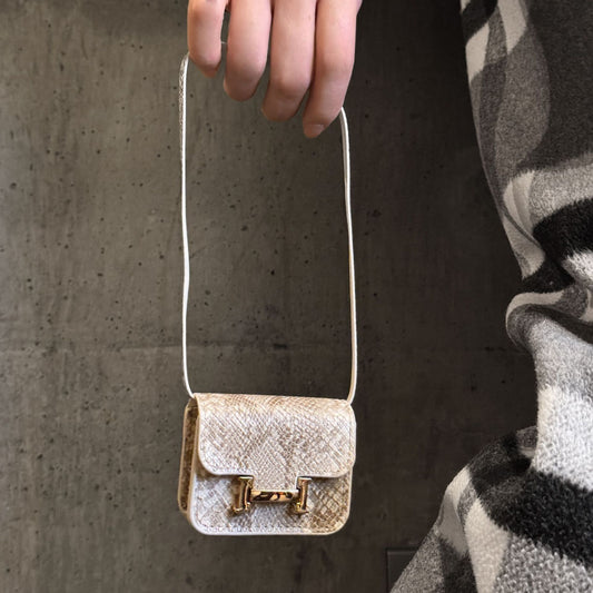 Luxury Snake Print AirPod Case with Crossbody Strap, Designer-Inspired AirPods Protective Cover Gift